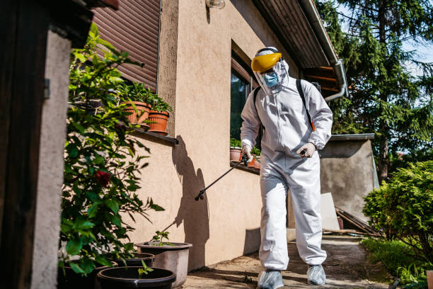 Best Termite Control Services  in Lauderdale Lakes, WI