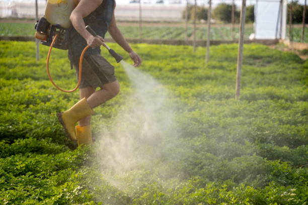 Best Pest Control for Restaurants  in Lauderdale Lakes, WI
