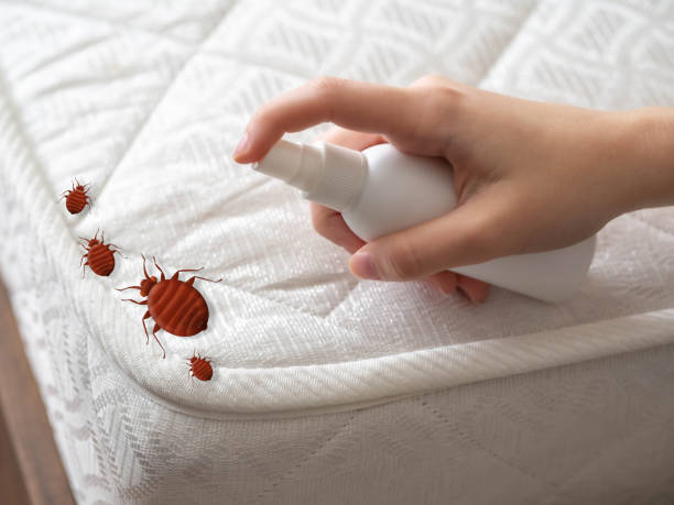 Best Mosquito Control Services  in Lauderdale Lakes, WI