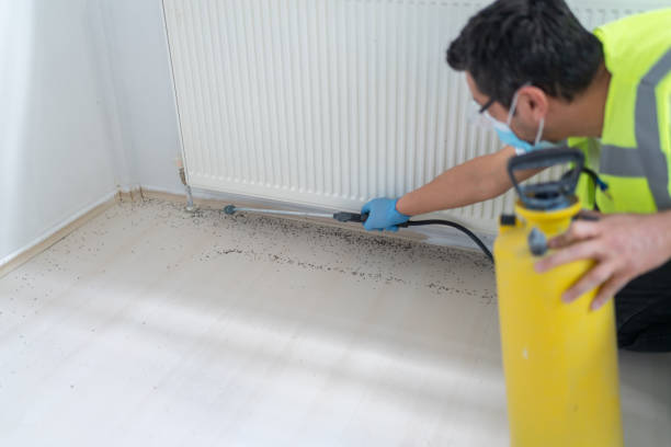 Best Wasp Removal Services  in Lauderdale Lakes, WI