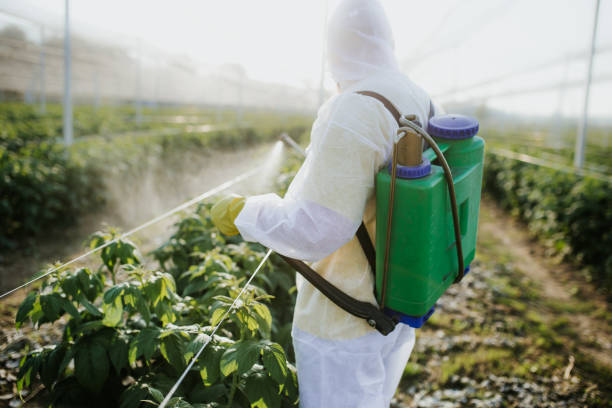 Best Exterminator Services  in Lauderdale Lakes, WI